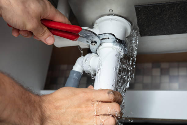 Best Professional water damage repair  in Pine Knot, KY