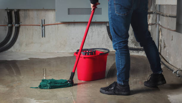 Best Carpet water damage restoration  in Pine Knot, KY